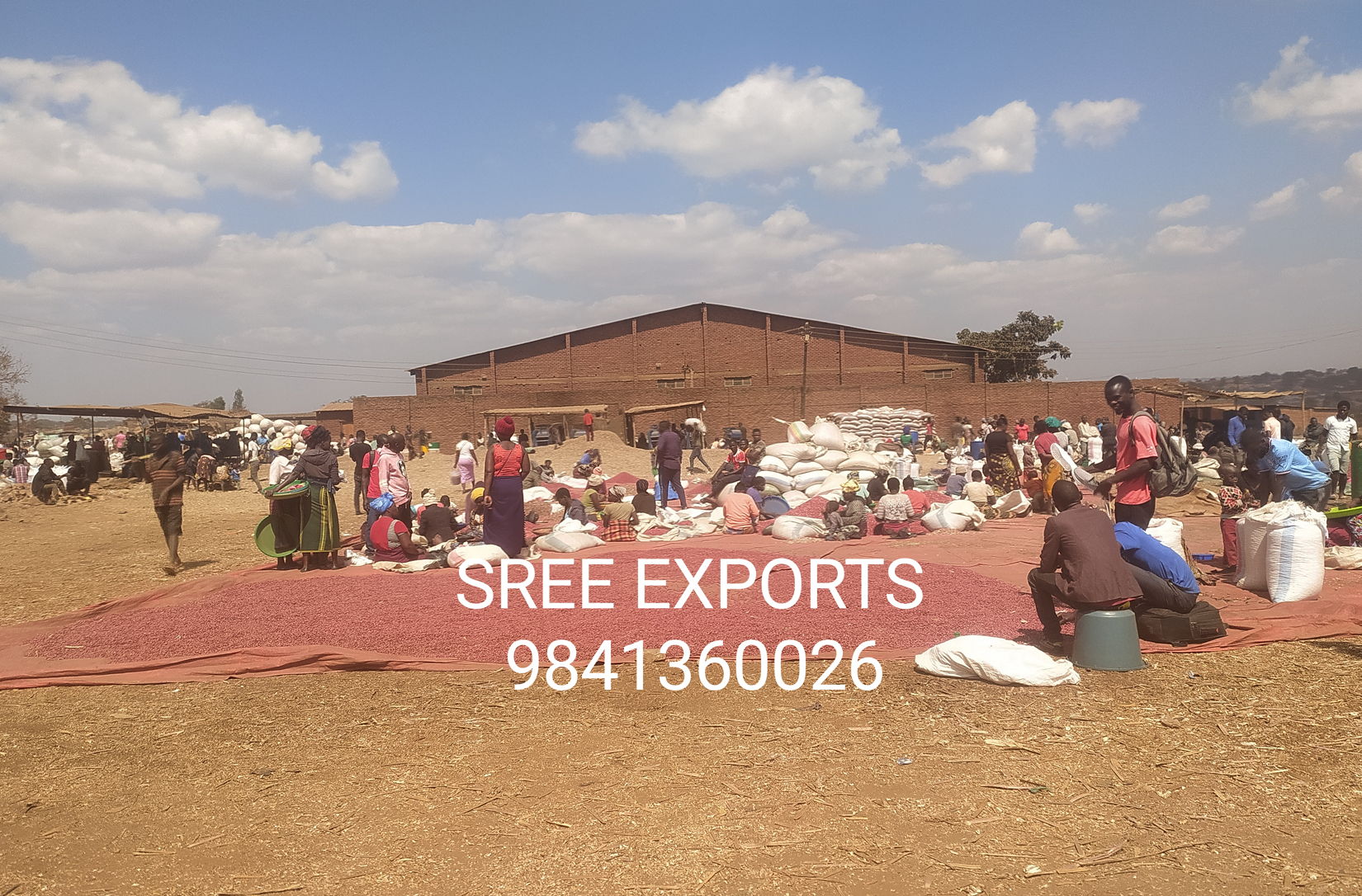 Sree Exports - Factory visit and quality inspection