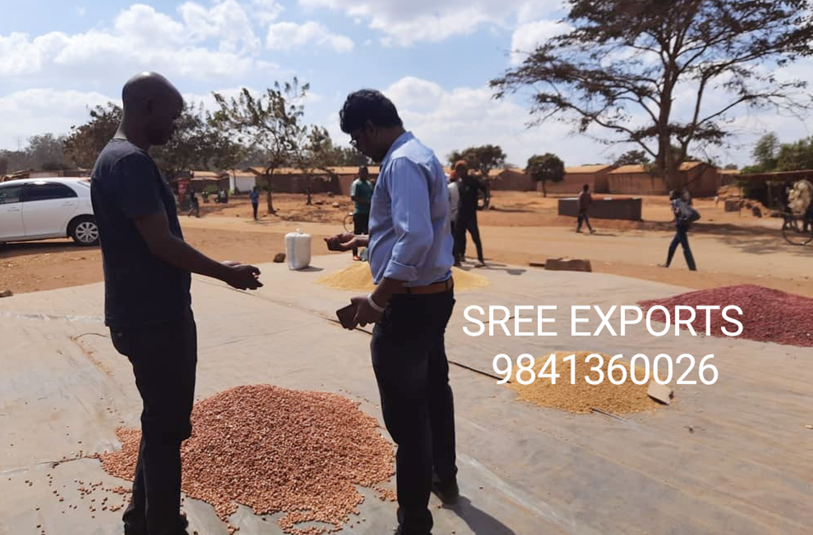 Sree Exports - Spices and pulses export from India