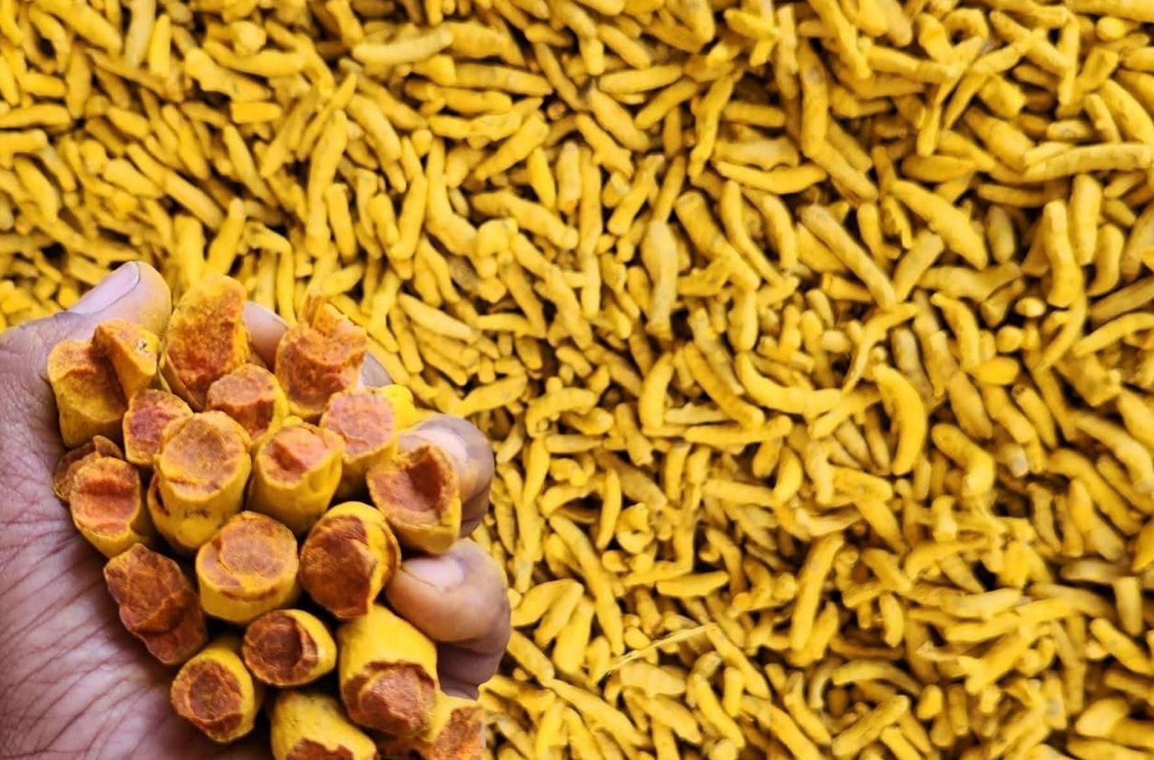 Sree Exports - Export excellence and global reach